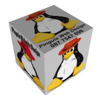 Pinguis Web Design image 20